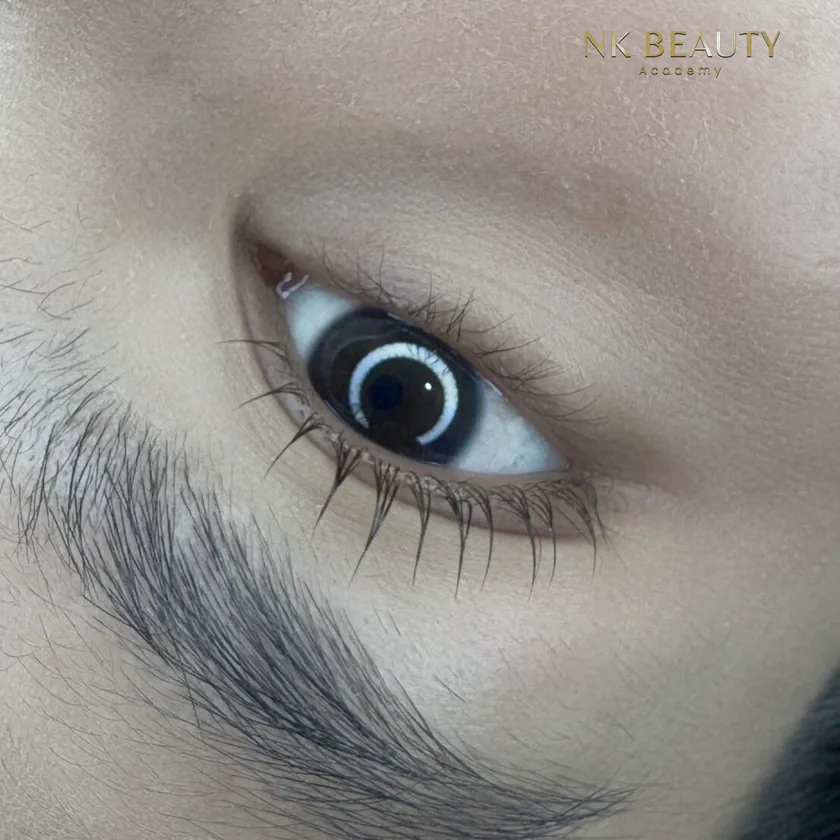 Close-up of lifted lashes at NK Beauty