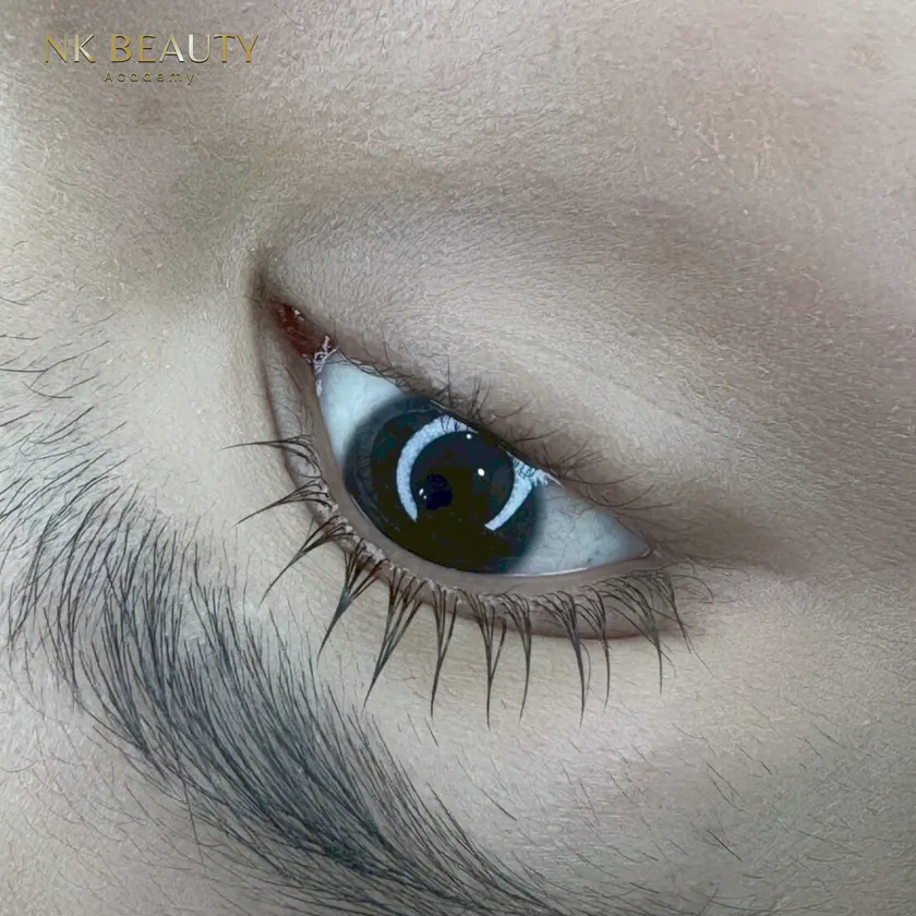 Student work: close-up of lash extensions with the brow above